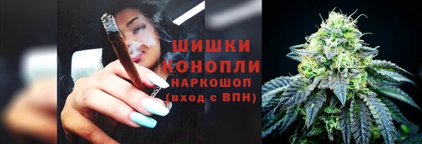 ГАЛЛЮЦИНОГЕННЫЕ ГРИБЫ Алексин