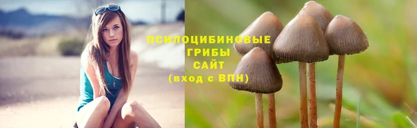 метадон Алексеевка