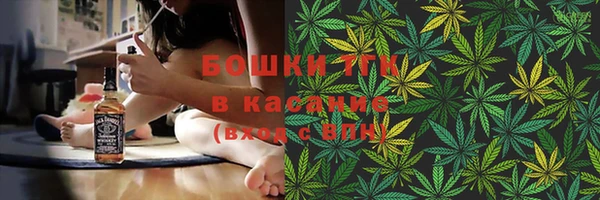 ПСИЛОЦИБИНОВЫЕ ГРИБЫ Алзамай