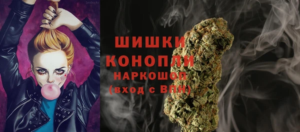 ГАЛЛЮЦИНОГЕННЫЕ ГРИБЫ Алексин